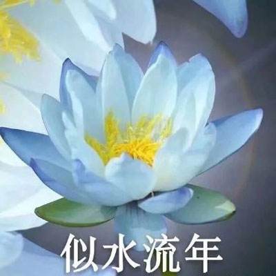 全民攻城九游版下载