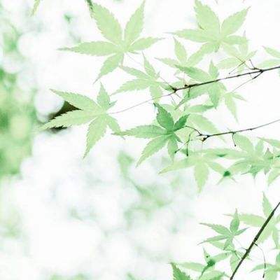 雷霆幻想破解版下载